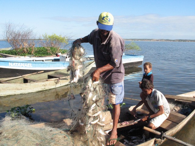 Iguatu;CE: Pescador recolhe rede com peixe, no açude Orós, na localidade de Barrocas; período de defeso suspende atividade até 30 de abril das espécies de piracema.